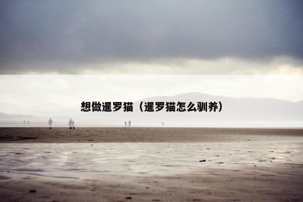 想做暹罗猫（暹罗猫怎么驯养）