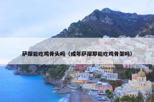 萨摩能吃鸡骨头吗（成年萨摩耶能吃鸡骨架吗）