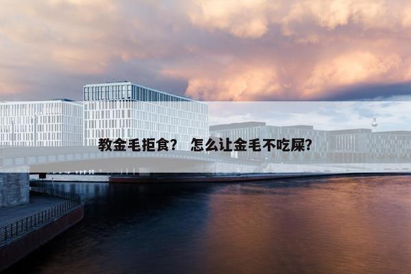 教金毛拒食？ 怎么让金毛不吃屎？