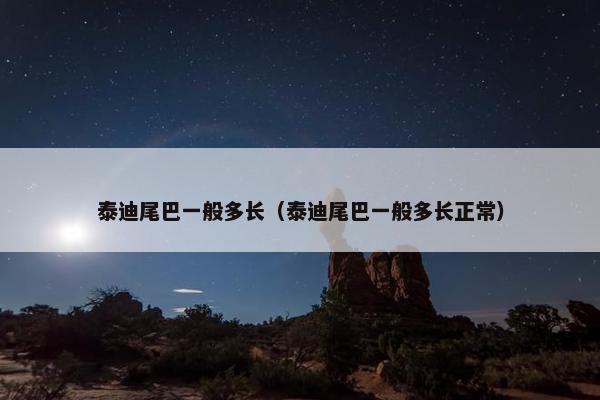 泰迪尾巴一般多长（泰迪尾巴一般多长正常）