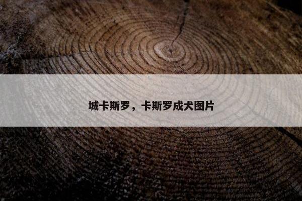 城卡斯罗，卡斯罗成犬图片