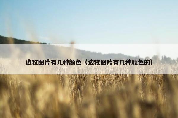 边牧图片有几种颜色（边牧图片有几种颜色的）