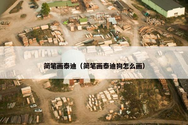 简笔画泰迪（简笔画泰迪狗怎么画）