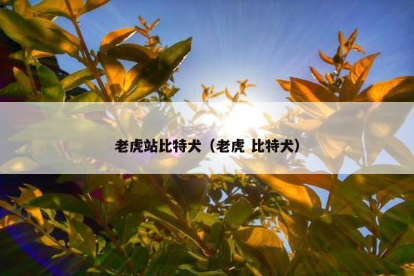 老虎站比特犬（老虎 比特犬）