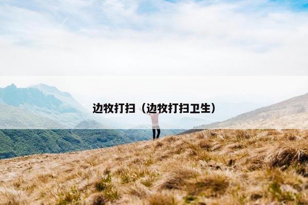 边牧打扫（边牧打扫卫生）