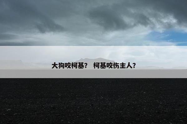 大狗咬柯基？ 柯基咬伤主人？