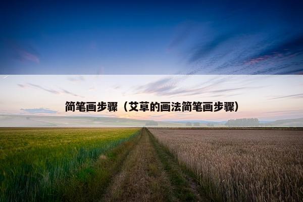 简笔画步骤（艾草的画法简笔画步骤）