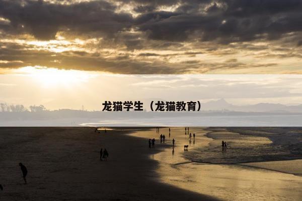 龙猫学生（龙猫教育）