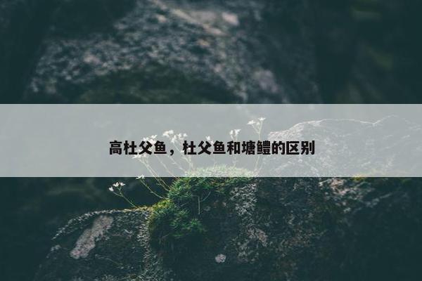高杜父鱼，杜父鱼和塘鳢的区别