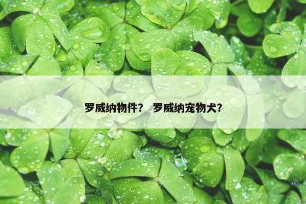 罗威纳物件？ 罗威纳宠物犬？