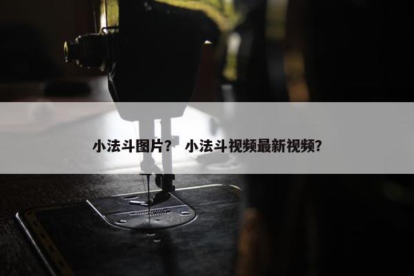 小法斗图片？ 小法斗视频最新视频？