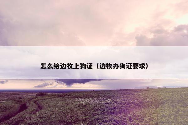怎么给边牧上狗证（边牧办狗证要求）