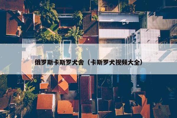 俄罗斯卡斯罗犬舍（卡斯罗犬视频大全）