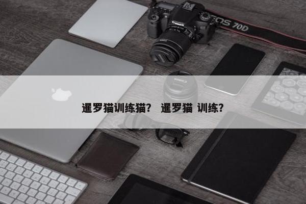 暹罗猫训练猫？ 暹罗猫 训练？