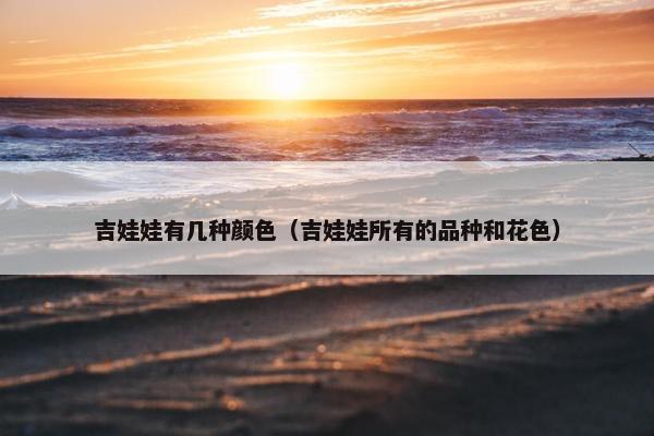 吉娃娃有几种颜色（吉娃娃所有的品种和花色）
