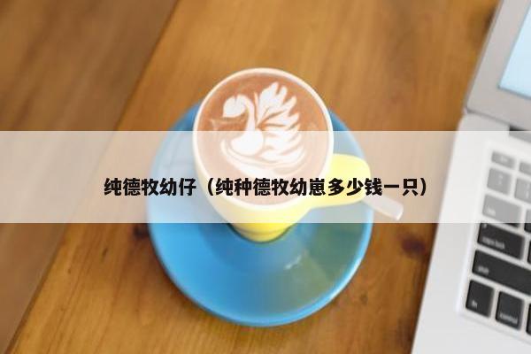 纯德牧幼仔（纯种德牧幼崽多少钱一只）