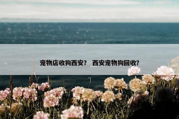 宠物店收狗西安？ 西安宠物狗回收？