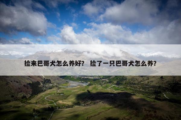 捡来巴哥犬怎么养好？ 捡了一只巴哥犬怎么养？