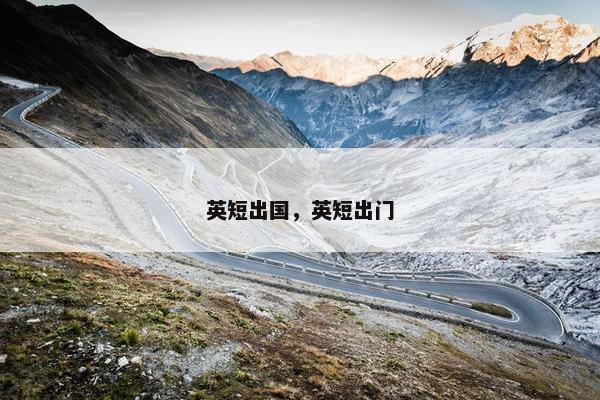 英短出国，英短出门