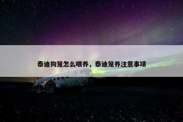 泰迪狗笼怎么喂养，泰迪笼养注意事项