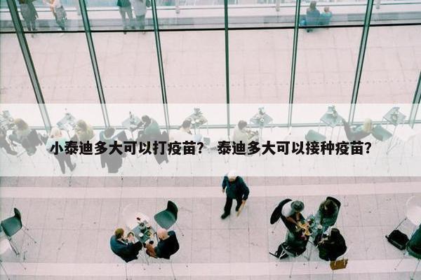 小泰迪多大可以打疫苗？ 泰迪多大可以接种疫苗？