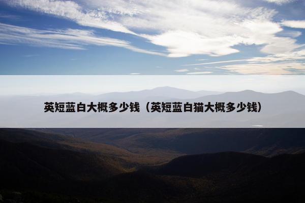 英短蓝白大概多少钱（英短蓝白猫大概多少钱）