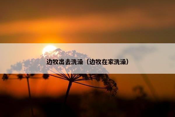 边牧出去洗澡（边牧在家洗澡）