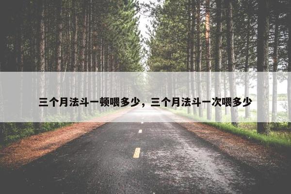 三个月法斗一顿喂多少，三个月法斗一次喂多少