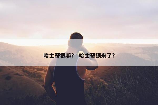 哈士奇狼嘛？ 哈士奇狼来了？