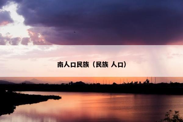 南人口民族（民族 人口）