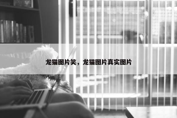 龙猫图片笑，龙猫图片真实图片