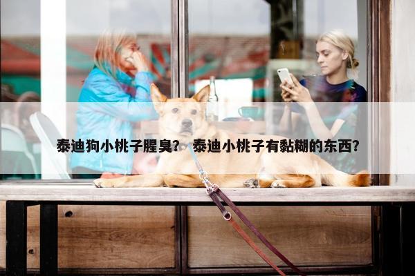 泰迪狗小桃子腥臭？ 泰迪小桃子有黏糊的东西？