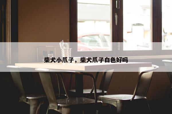 柴犬小爪子，柴犬爪子白色好吗