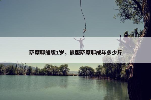 萨摩耶熊版1岁，熊版萨摩耶成年多少斤