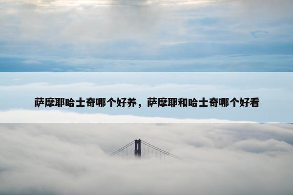 萨摩耶哈士奇哪个好养，萨摩耶和哈士奇哪个好看