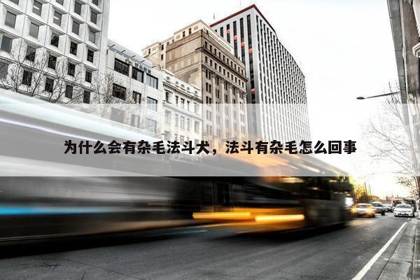 为什么会有杂毛法斗犬，法斗有杂毛怎么回事