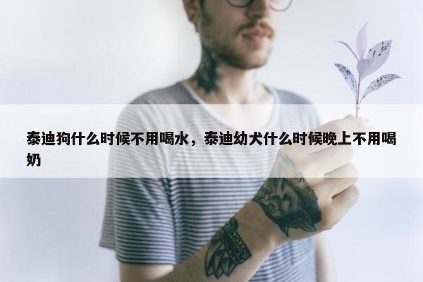 泰迪狗什么时候不用喝水，泰迪幼犬什么时候晚上不用喝奶