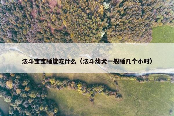 法斗宝宝睡觉吃什么（法斗幼犬一般睡几个小时）