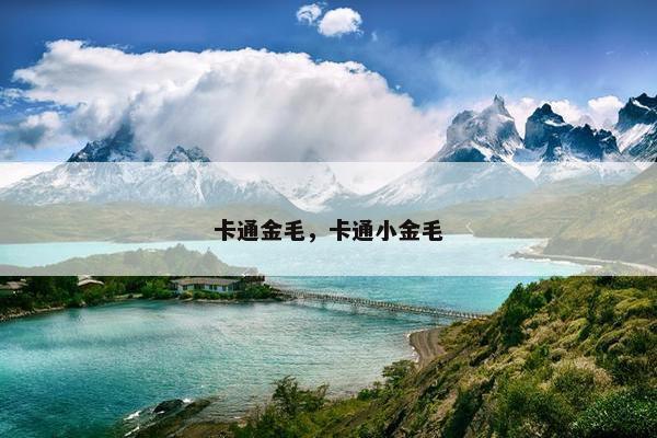 卡通金毛，卡通小金毛
