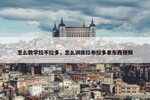 怎么教学拉不拉多，怎么训练拉布拉多拿东西视频
