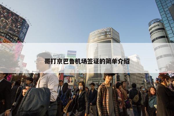 哥打京巴鲁机场签证的简单介绍