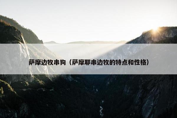 萨摩边牧串狗（萨摩耶串边牧的特点和性格）