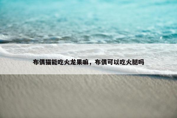 布偶猫能吃火龙果嘛，布偶可以吃火腿吗