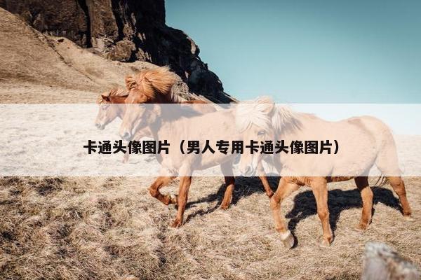 卡通头像图片（男人专用卡通头像图片）