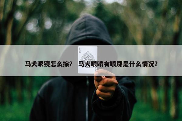 马犬眼镜怎么擦？ 马犬眼睛有眼屎是什么情况？