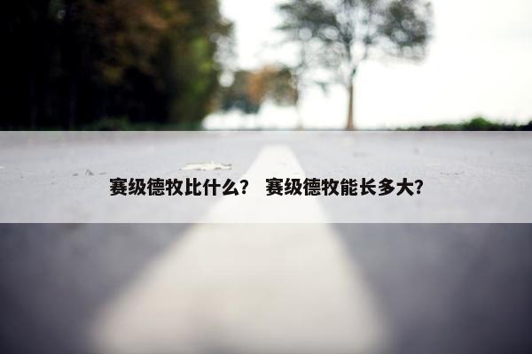 赛级德牧比什么？ 赛级德牧能长多大？