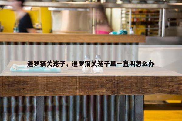 暹罗猫关笼子，暹罗猫关笼子里一直叫怎么办