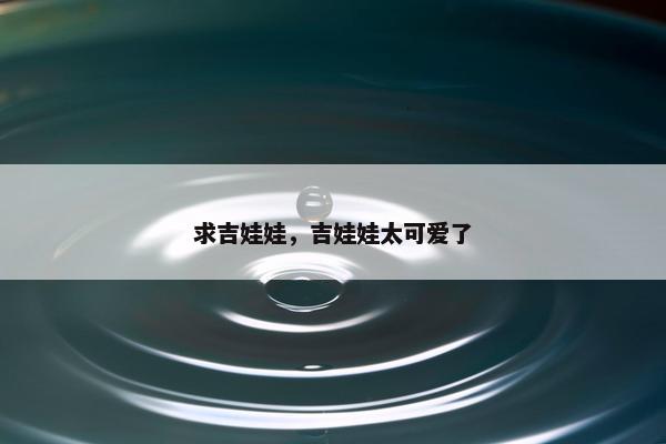 求吉娃娃，吉娃娃太可爱了