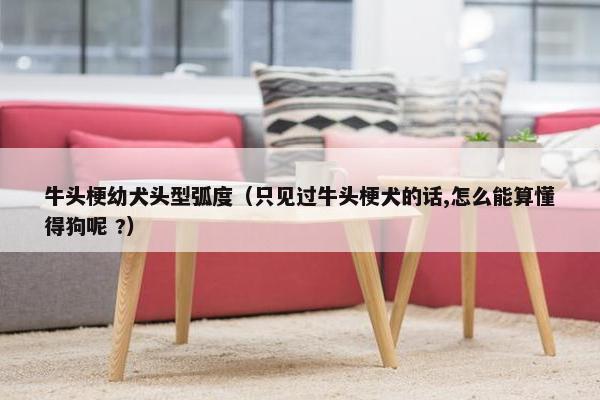牛头梗幼犬头型弧度（只见过牛头梗犬的话,怎么能算懂得狗呢 ?）
