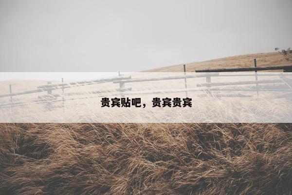 贵宾贴吧，贵宾贵宾